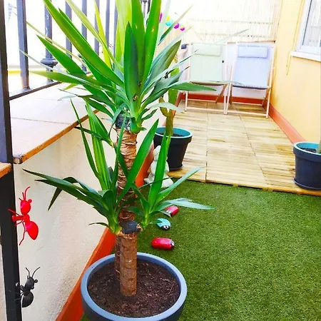 Xoxo - Encina Appartement